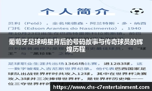 葡萄牙足球明星背后的号码故事与传奇球员的辉煌历程